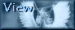 view.gif