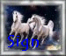 sign.gif