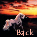 back.gif