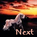 next.gif
