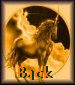 back.gif