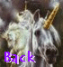 back.gif