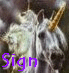 sign.gif