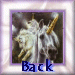 back.gif
