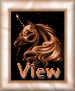 view.gif