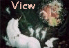 view.gif