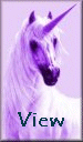 view.gif