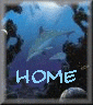 home.gif