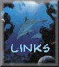 links.gif