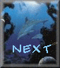 next.gif