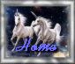 home.gif