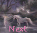 next.gif