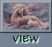 view.gif