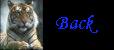 back.gif