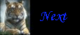 next.gif