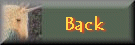 back.gif