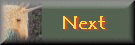 next.gif
