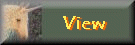 view.gif
