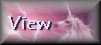 view.gif