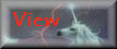 view.gif