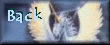 back.gif