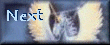 next.gif