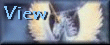 view.gif