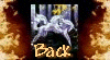 back.gif
