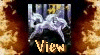 view.gif