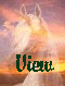 view.gif