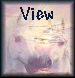 view.gif