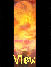 view.gif