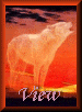 view.gif