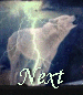 next.gif