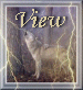 view.gif