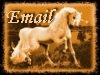 email.gif