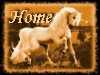 home.gif