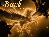 back.gif