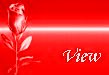 view.gif