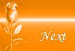 next.gif