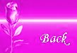 back.gif