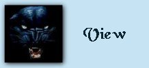 view.gif