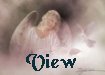 view.gif