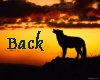 back.gif