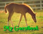 guestbook.gif