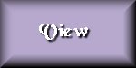 view.gif