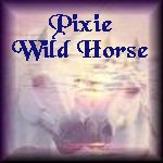 Pixie Wild Horse