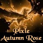 Pixie Autumn Rose