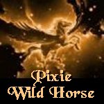 Pixie Wild Horse