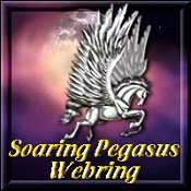 Soaring Pegasus Netring